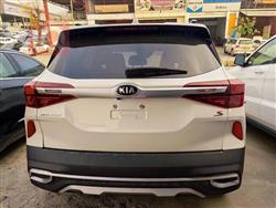 کیا سێلتۆس